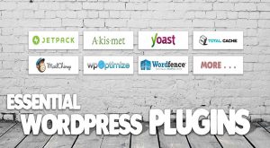 Top WordPress Plugins for Your Blog or Website