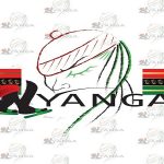 Meet the Most Powerful External Battery Model on the Market