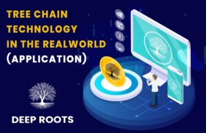 DEEP ROOTS TREE CHAIN APPLICATION IN THE REAL WORLD